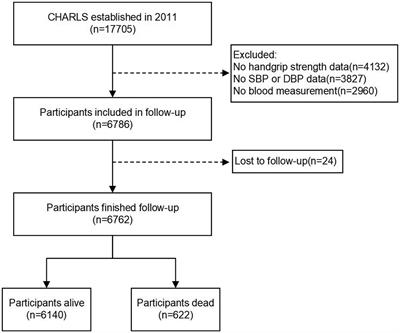 Establishing thresholds of handgrip strength based on mortality using machine learning in a prospective cohort of Chinese population